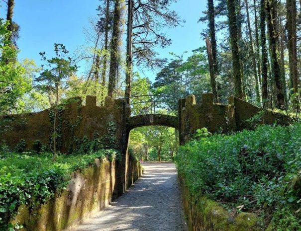 pena park (3)